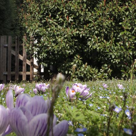 Agriturismo Il Magicorto Cassola 外观 照片