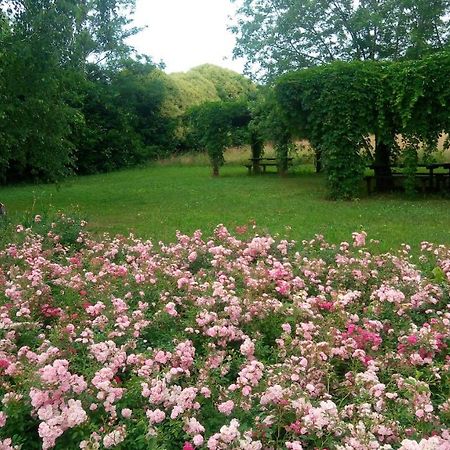 Agriturismo Il Magicorto Cassola 外观 照片