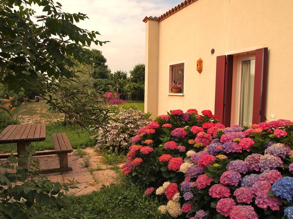 Agriturismo Il Magicorto Cassola 客房 照片