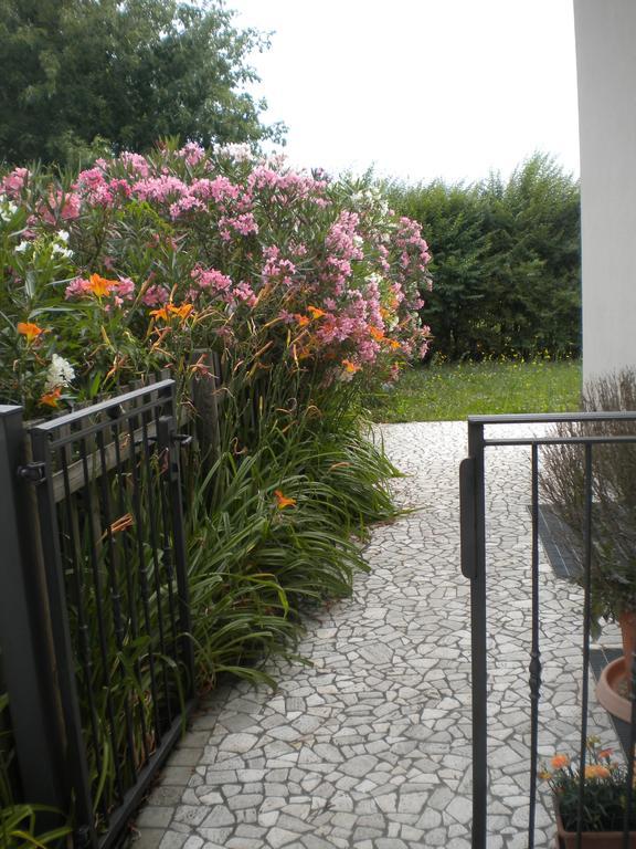 Agriturismo Il Magicorto Cassola 客房 照片
