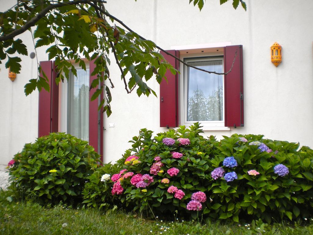Agriturismo Il Magicorto Cassola 客房 照片