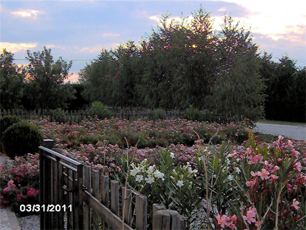 Agriturismo Il Magicorto Cassola 外观 照片