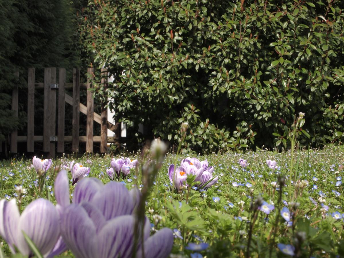 Agriturismo Il Magicorto Cassola 外观 照片