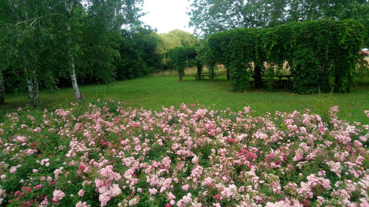 Agriturismo Il Magicorto Cassola 外观 照片