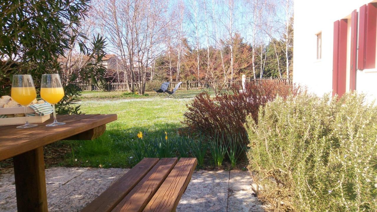 Agriturismo Il Magicorto Cassola 外观 照片