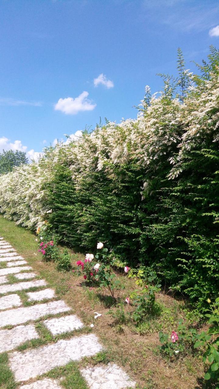 Agriturismo Il Magicorto Cassola 外观 照片
