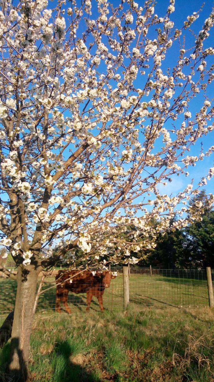 Agriturismo Il Magicorto Cassola 外观 照片